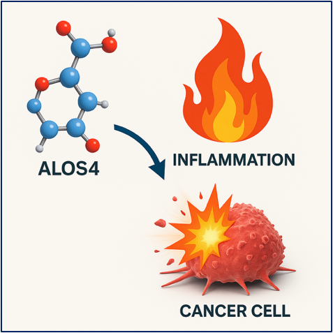 ALOS4 – Immune-Modulating Peptide for Oncology and Inflammatory ...