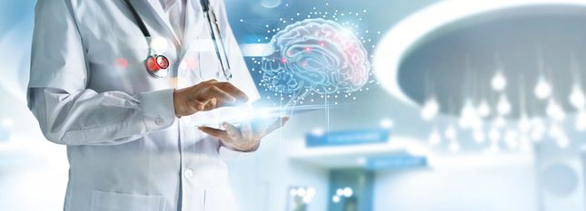 תכנית הלימודים