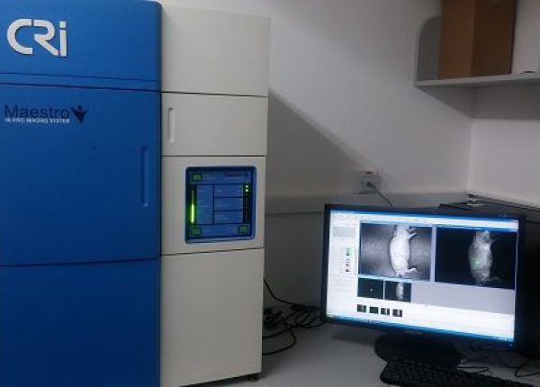 WITH_MOUSE In Vivo Imaging